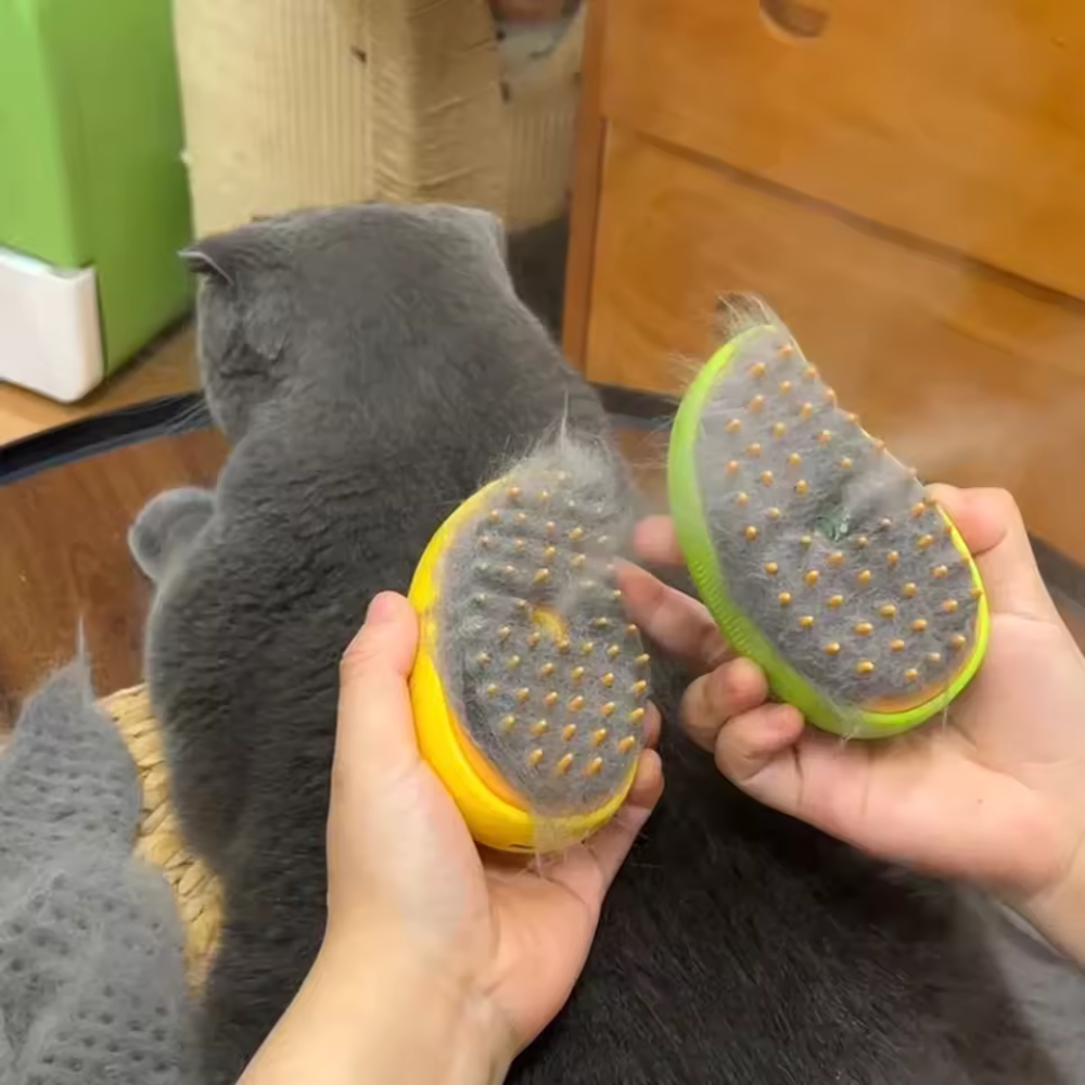 Brosse à vapeur anti-poils