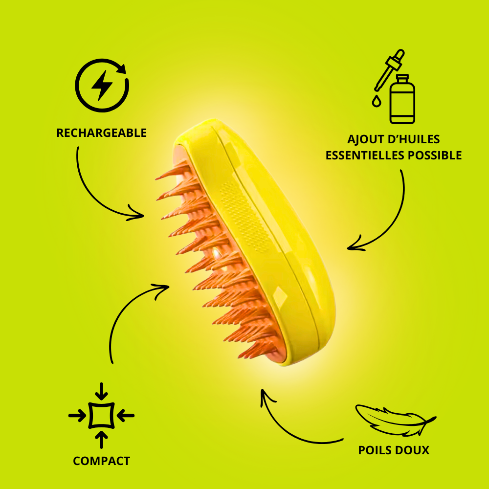 Brosse à vapeur anti-poils